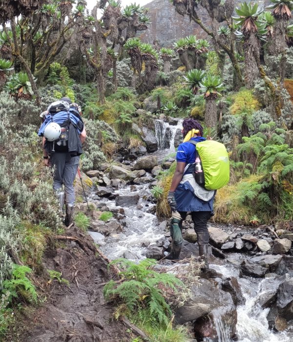 Rwenzori Mountain Climbing