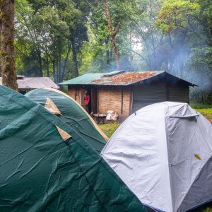 Rwenzori Mountain Camping